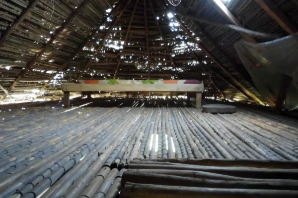 nova_terra_facility_tambo_03