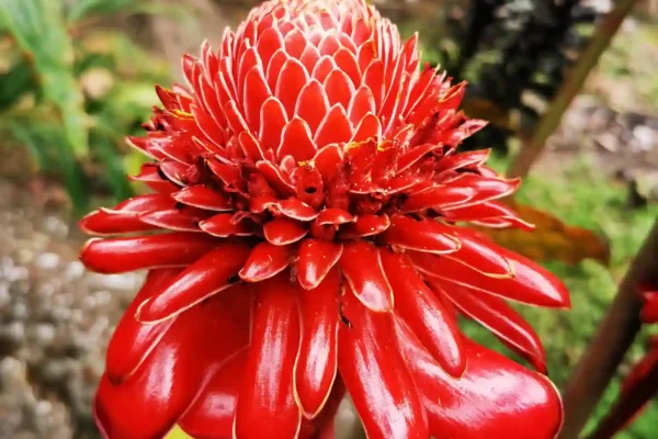 nova_terra_retreat_center_onsite_004b