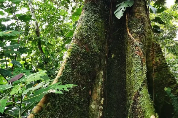 nova_terra_retreat_center_onsite_008b