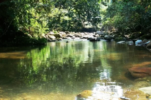 terra_nova_reatreat_center_19