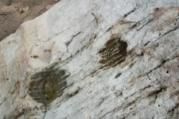 terra_nova_reatreat_center_22